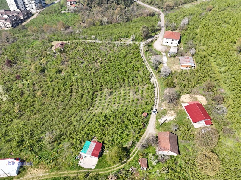 Bir Emlak Konuralp'te Çok Güzel Manzaraya Sahip Villalık Arsa — fotoğraf 11