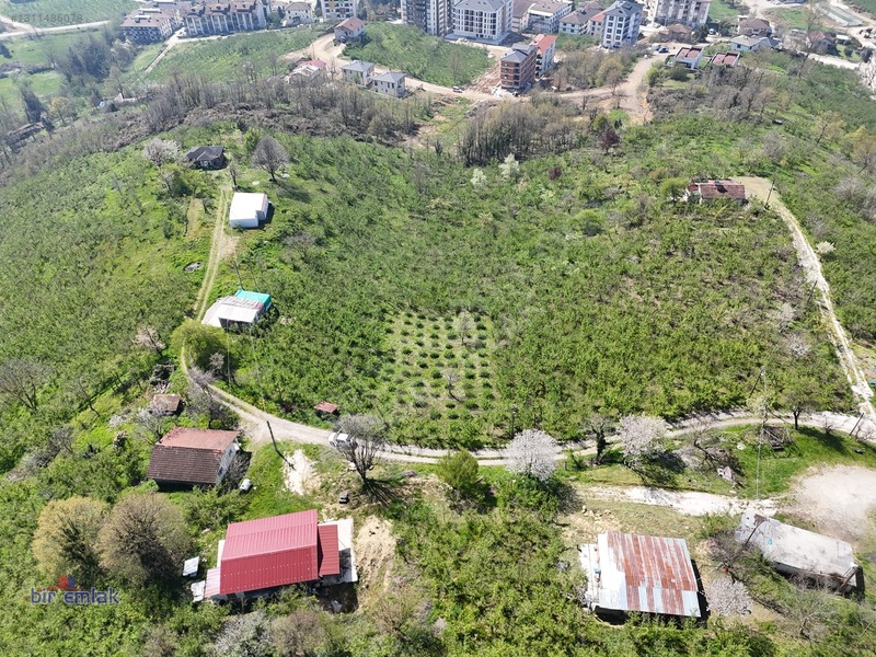 Bir Emlak Konuralp'te Çok Güzel Manzaraya Sahip Villalık Arsa — fotoğraf 12
