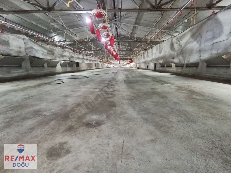 Remax Doğu Yedigözede Satılık Hazır Ve Kurulu Ruhsatlı Çiftlik — fotoğraf 2
