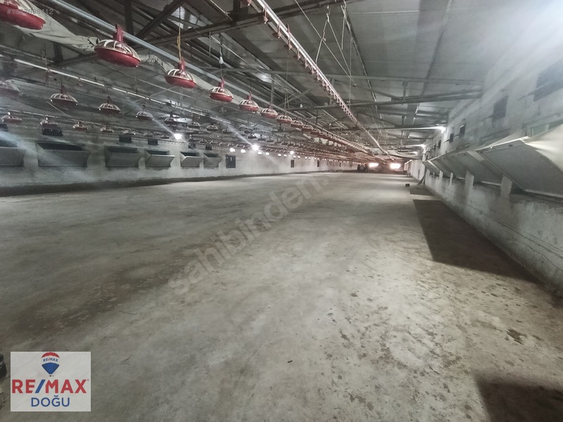 Remax Doğu Yedigözede Satılık Hazır Ve Kurulu Ruhsatlı Çiftlik — fotoğraf 3