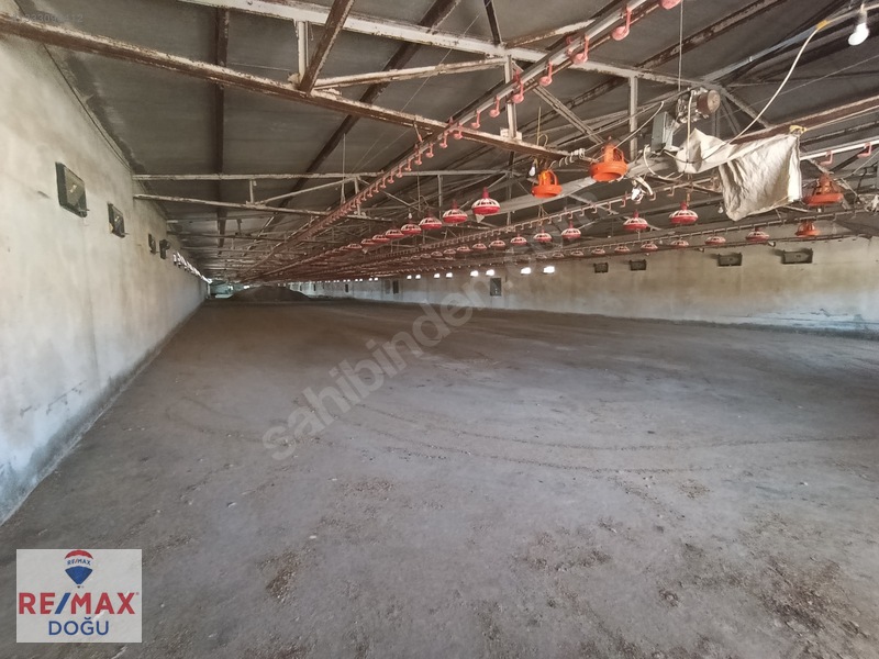 Remax Doğu Yedigözede Satılık Hazır Ve Kurulu Ruhsatlı Çiftlik — fotoğraf 4