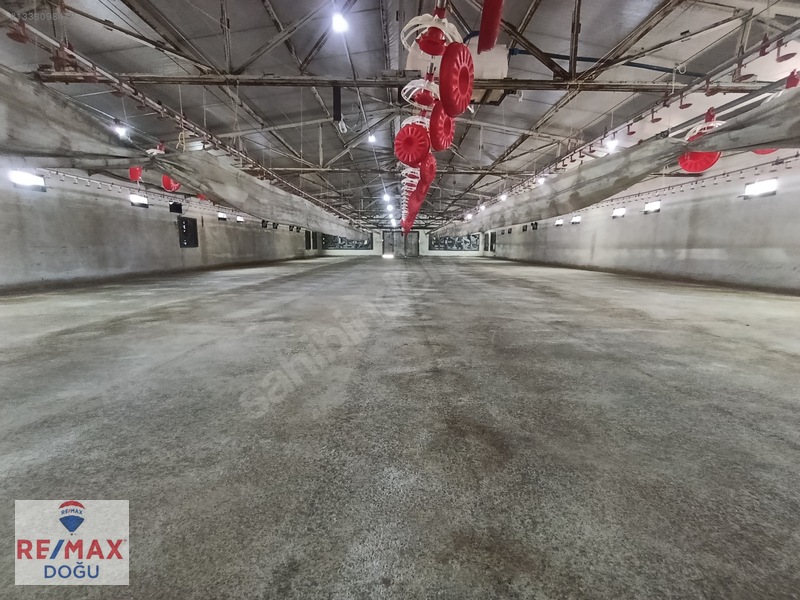 Remax Doğu Yedigözede Satılık Hazır Ve Kurulu Ruhsatlı Çiftlik — fotoğraf 6
