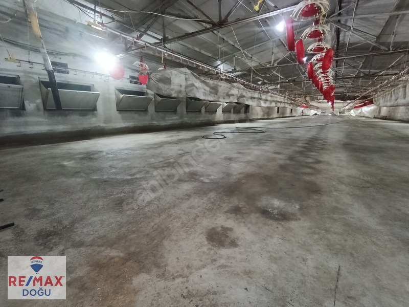 Remax Doğu Yedigözede Satılık Hazır Ve Kurulu Ruhsatlı Çiftlik — fotoğraf 7