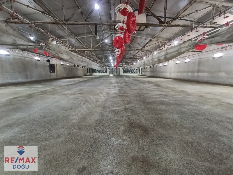 Remax Doğu Yedigözede Satılık Hazır Ve Kurulu Ruhsatlı Çiftlik — fotoğraf 8