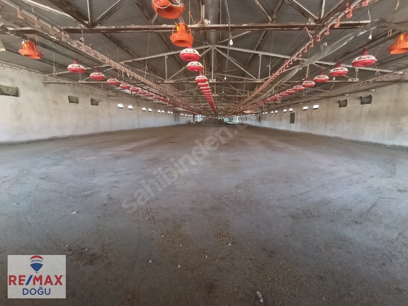 Remax Doğu Yedigözede Satılık Hazır Ve Kurulu Ruhsatlı Çiftlik — fotoğraf 12