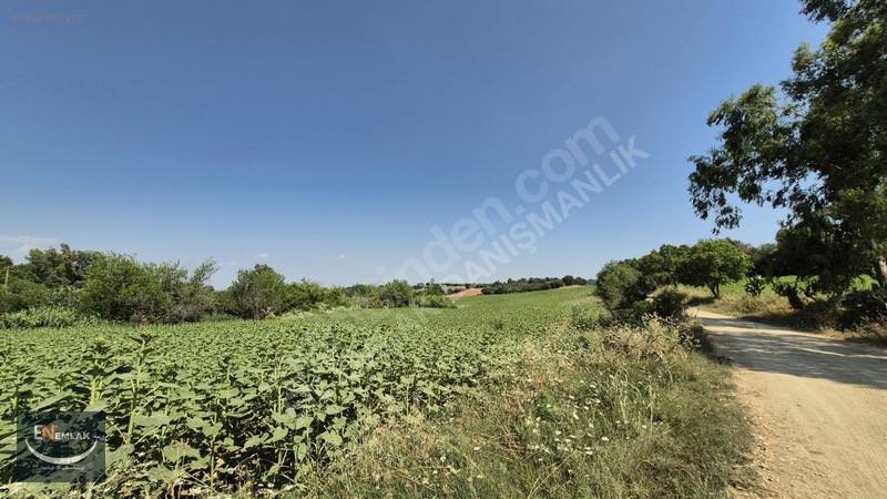 En Emlak'Tan Karaisalı'Da 5500 M2 Köyiçi 22D Tarla