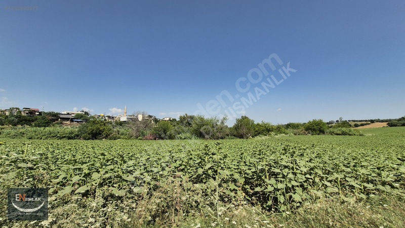 En Emlak'tan Karaisalı'da 5500 M2 Köyiçi 22d Tarla — fotoğraf 2