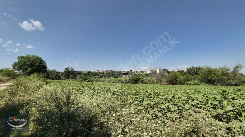 En Emlak'tan Karaisalı'da 5500 M2 Köyiçi 22d Tarla — fotoğraf 3