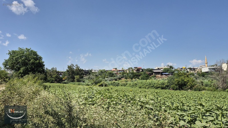 En Emlak'tan Karaisalı'da 5500 M2 Köyiçi 22d Tarla — fotoğraf 4
