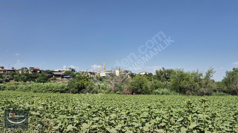 En Emlak'tan Karaisalı'da 5500 M2 Köyiçi 22d Tarla — fotoğraf 5