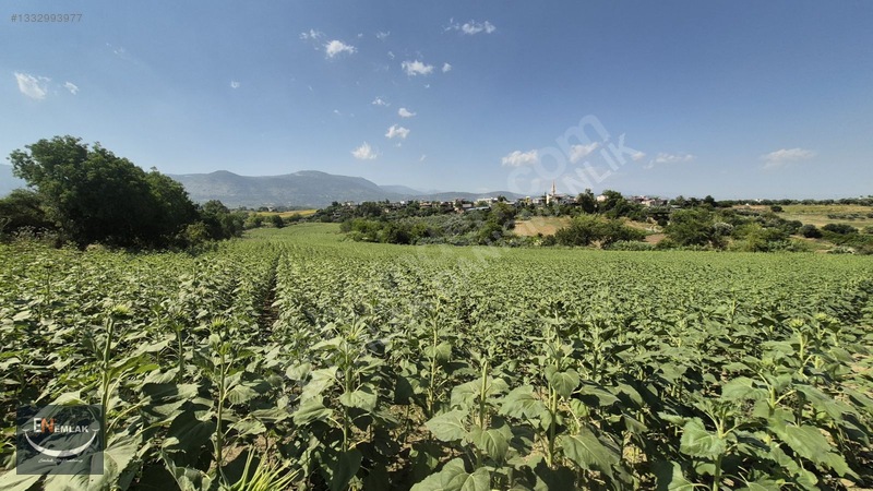 En Emlak'tan Karaisalı'da 5500 M2 Köyiçi 22d Tarla — fotoğraf 7