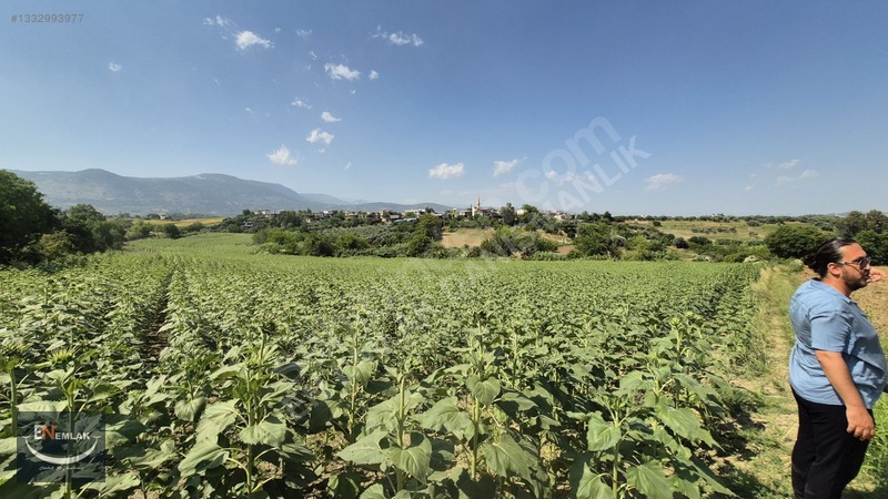 En Emlak'tan Karaisalı'da 5500 M2 Köyiçi 22d Tarla — fotoğraf 8