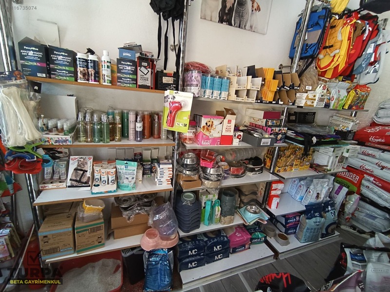 Bornova Merkezde Devren Kiralık Pet Shop — fotoğraf 2