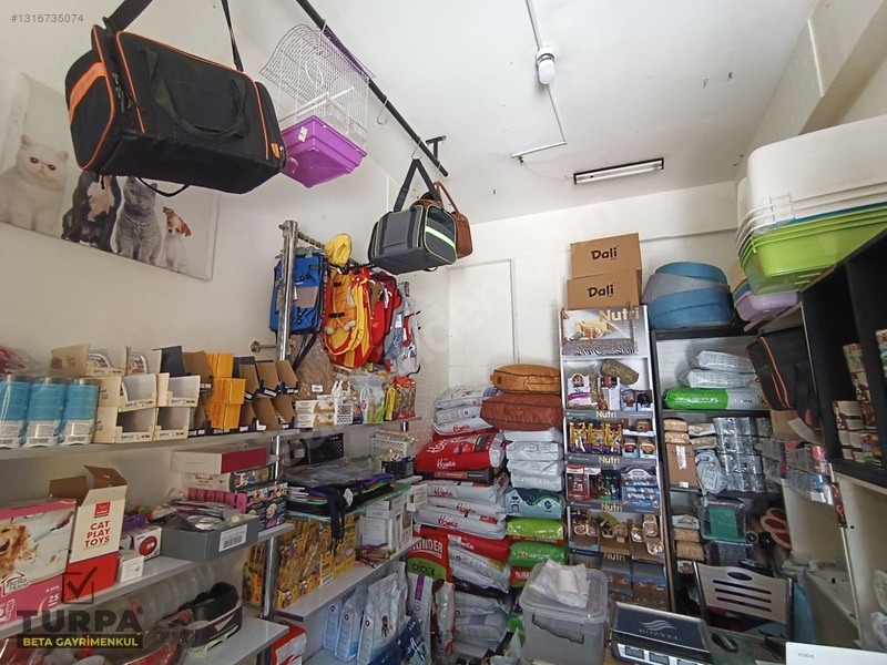 Bornova Merkezde Devren Kiralık Pet Shop — fotoğraf 3