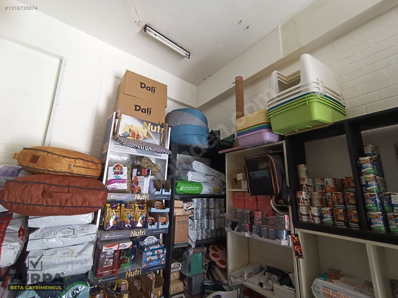 Bornova Merkezde Devren Kiralık Pet Shop — fotoğraf 4