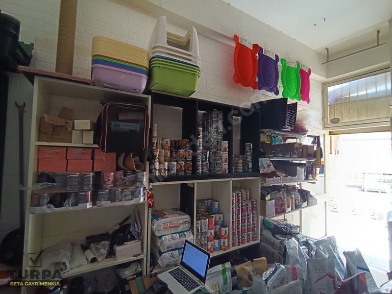 Bornova Merkezde Devren Kiralık Pet Shop — fotoğraf 5