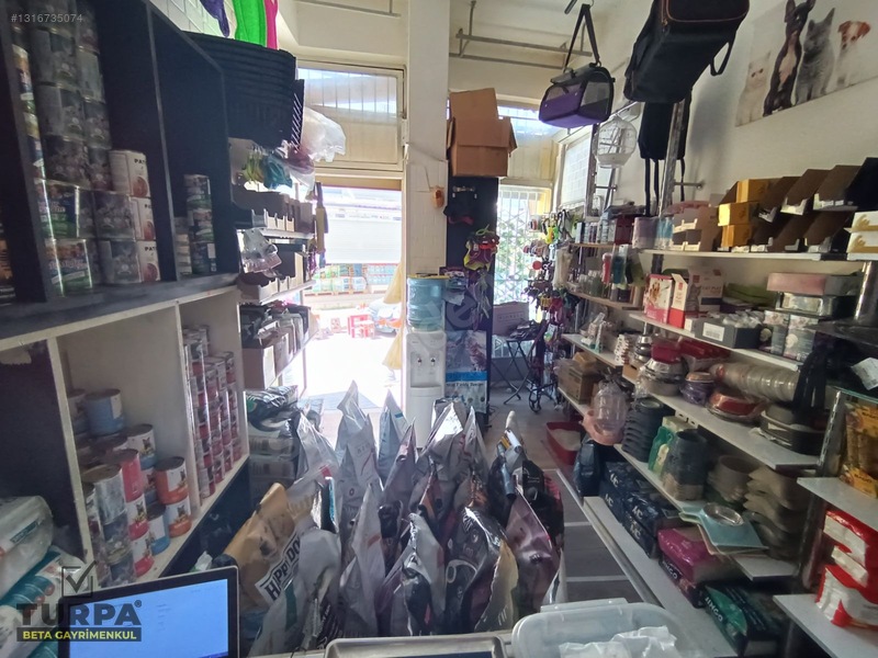 Bornova Merkezde Devren Kiralık Pet Shop — fotoğraf 6