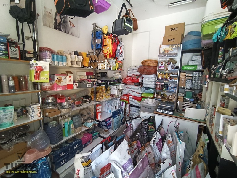 Bornova Merkezde Devren Kiralık Pet Shop — fotoğraf 12