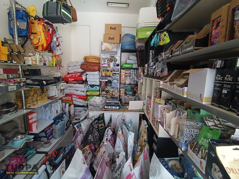 Bornova Merkezde Devren Kiralık Pet Shop — fotoğraf 13