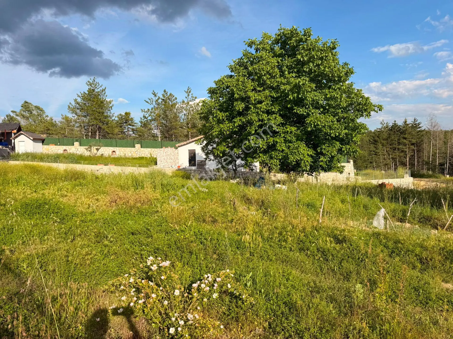 Wisremden Safranbolu Yazıköyde Mükemmel Donanımlı Tarlamız Satılıktır — fotoğraf 11