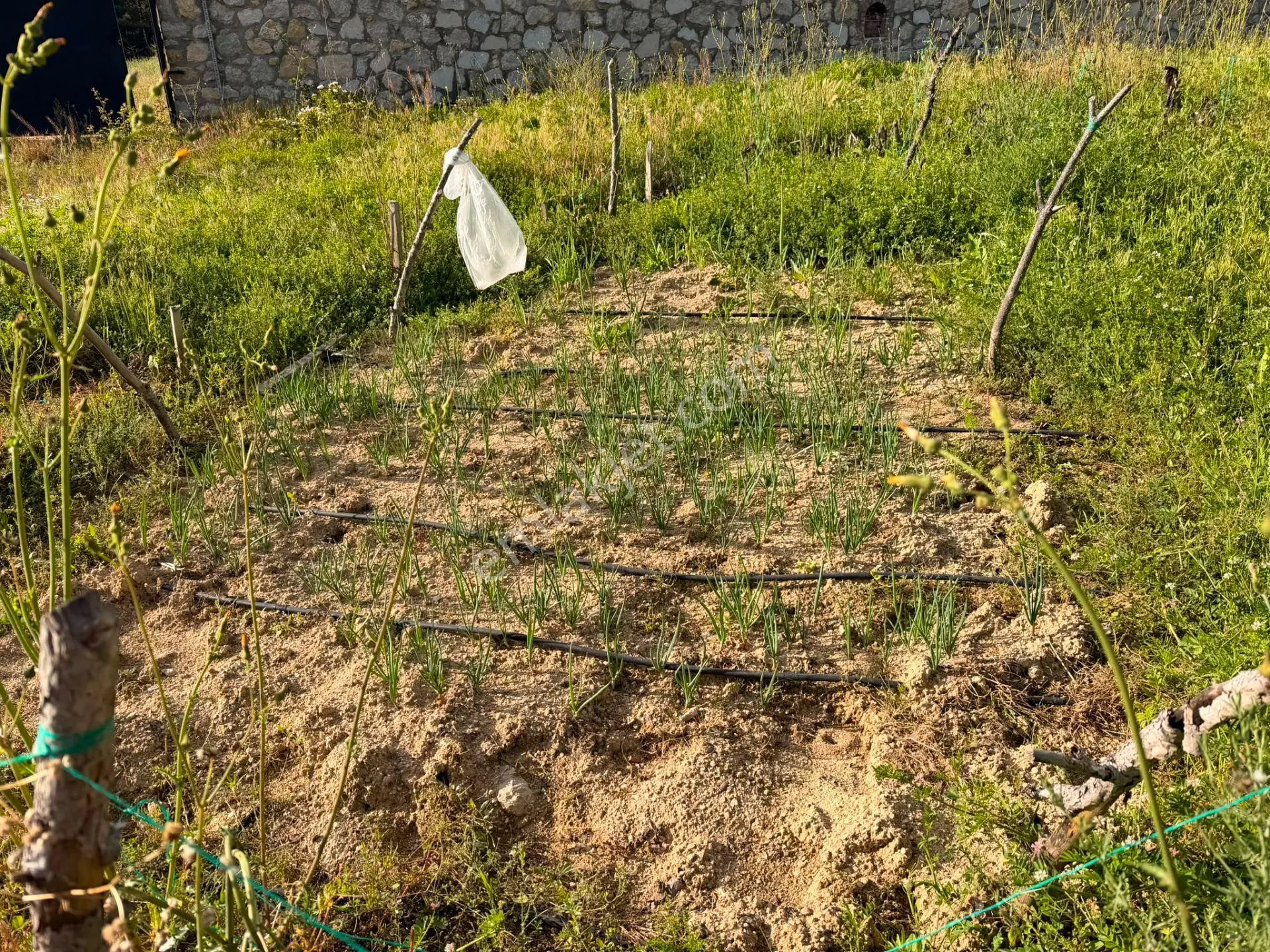 Wisremden Safranbolu Yazıköyde Mükemmel Donanımlı Tarlamız Satılıktır — fotoğraf 14