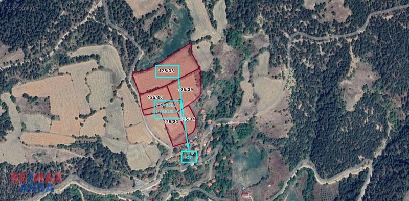 Bolu Göynük Bozcaarmut Köyünde Fırsat Arazi!!! — fotoğraf 5