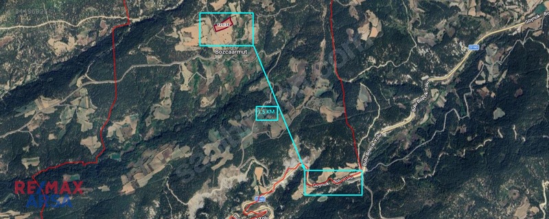 Bolu Göynük Bozcaarmut Köyünde Fırsat Arazi!!! — fotoğraf 6