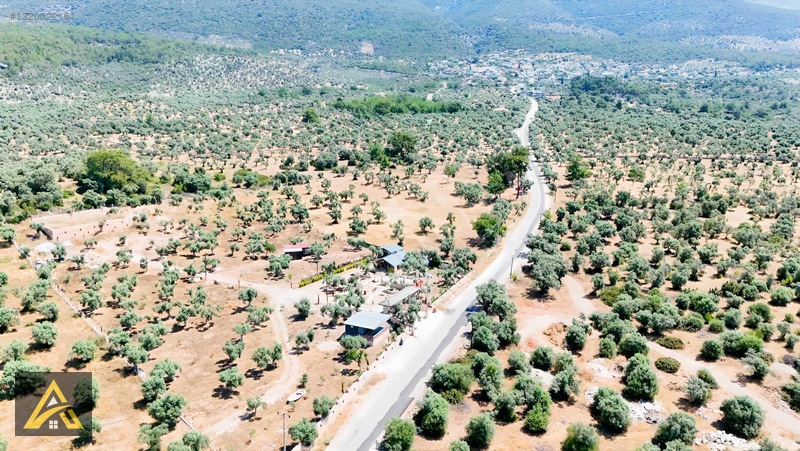 Muğla Milas Kazıklıda Geleceği Parlak Yatırım Fırsatı! — fotoğraf 4