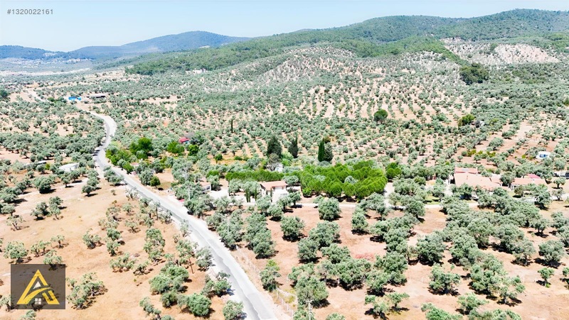Muğla Milas Kazıklıda Geleceği Parlak Yatırım Fırsatı! — fotoğraf 5