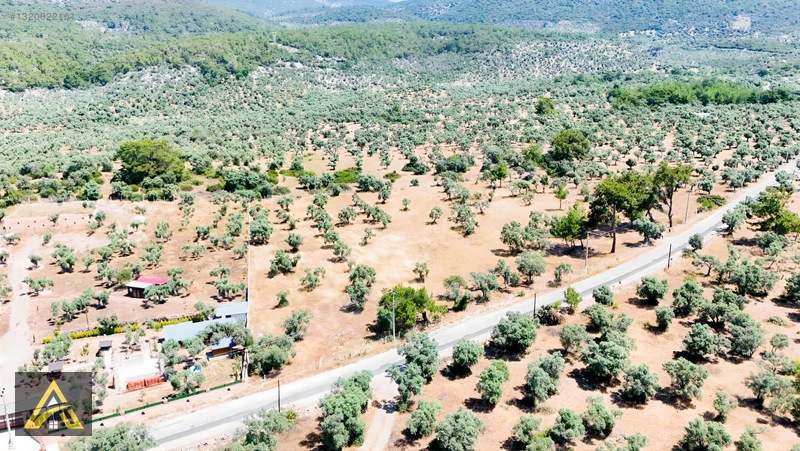 Muğla Milas Kazıklıda Geleceği Parlak Yatırım Fırsatı! — fotoğraf 6