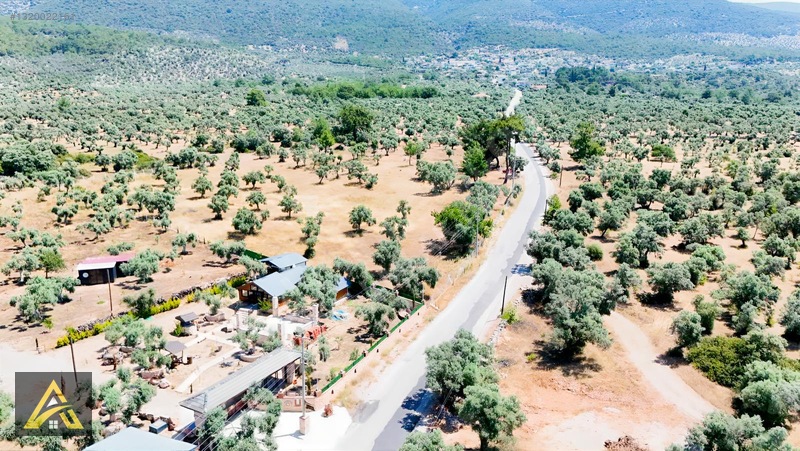 Muğla Milas Kazıklıda Geleceği Parlak Yatırım Fırsatı! — fotoğraf 7