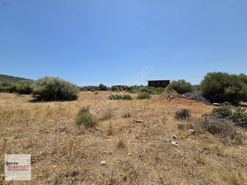 Aydın Didim Fevzipaşada Müstakil Tapulu Satılık Villa Arsası