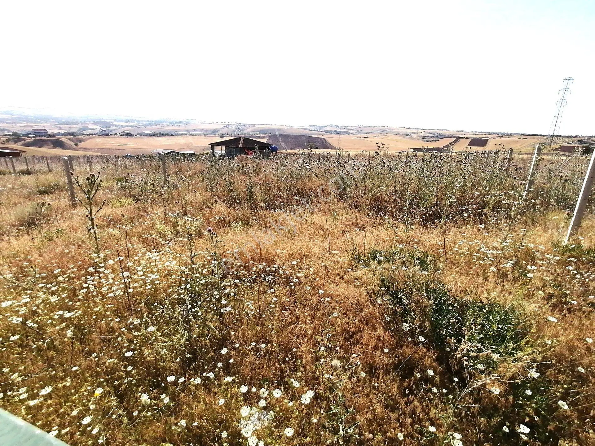 Kavak'lı Site Köye Yakın 200m2 Elektirik Su Aktif Telli Bahçek — fotoğraf 4