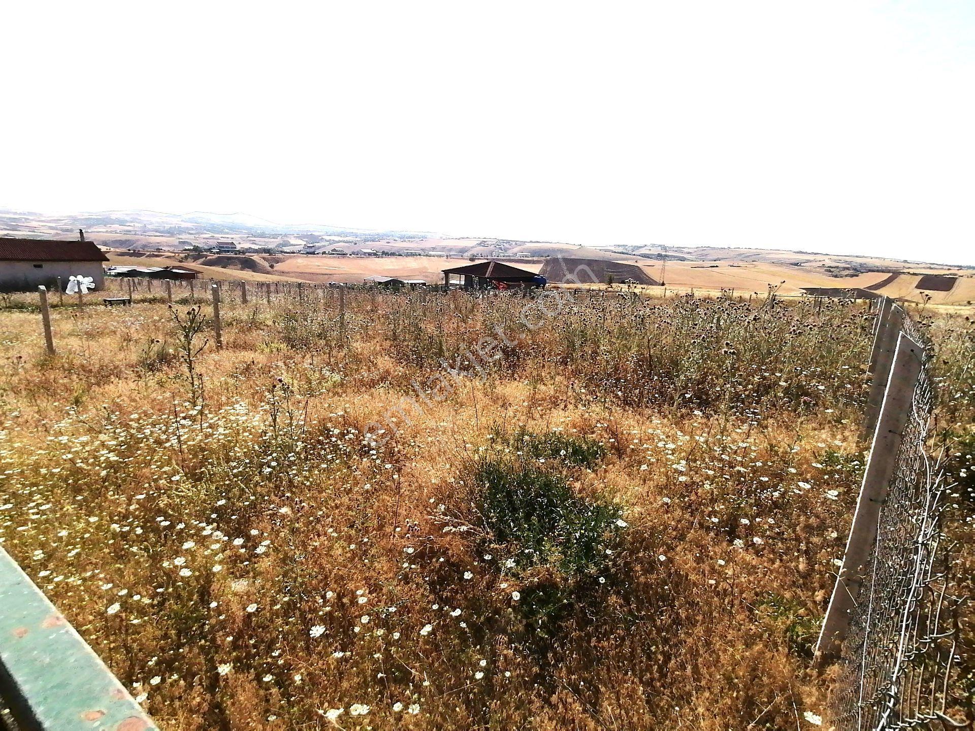 Kavak'lı Site Köye Yakın 200m2 Elektirik Su Aktif Telli Bahçek — fotoğraf 6