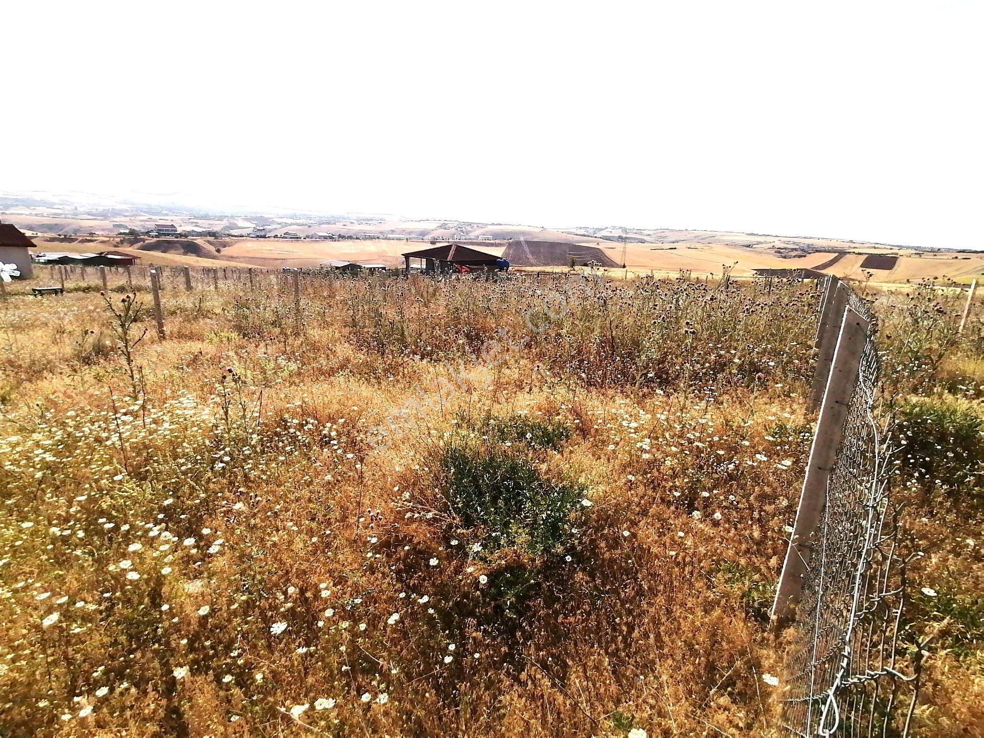 Kavak'lı Site Köye Yakın 200m2 Elektirik Su Aktif Telli Bahçek — fotoğraf 8