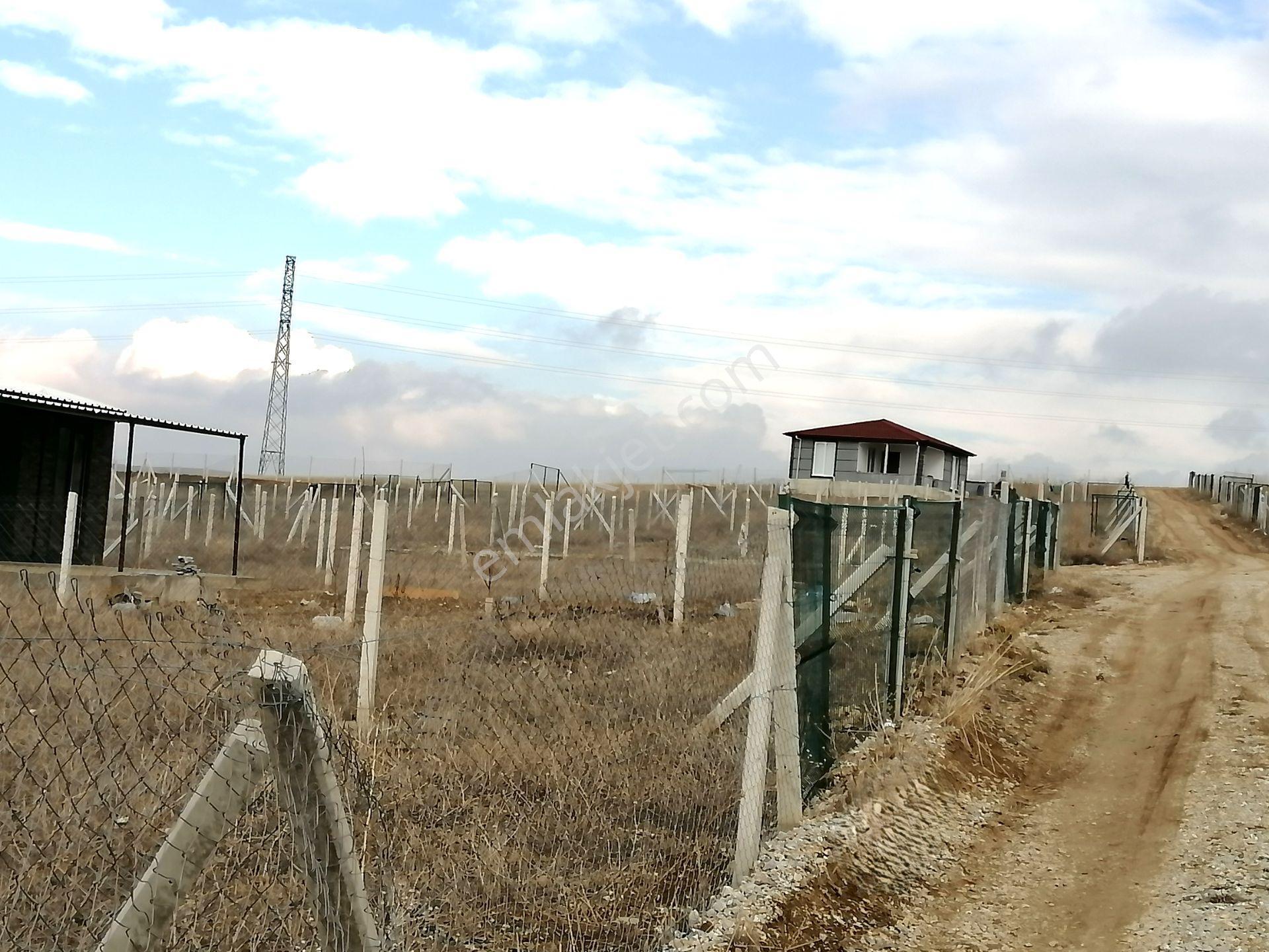 Kavak'lı Site Köye Yakın 200m2 Elektirik Su Aktif Telli Bahçek — fotoğraf 11