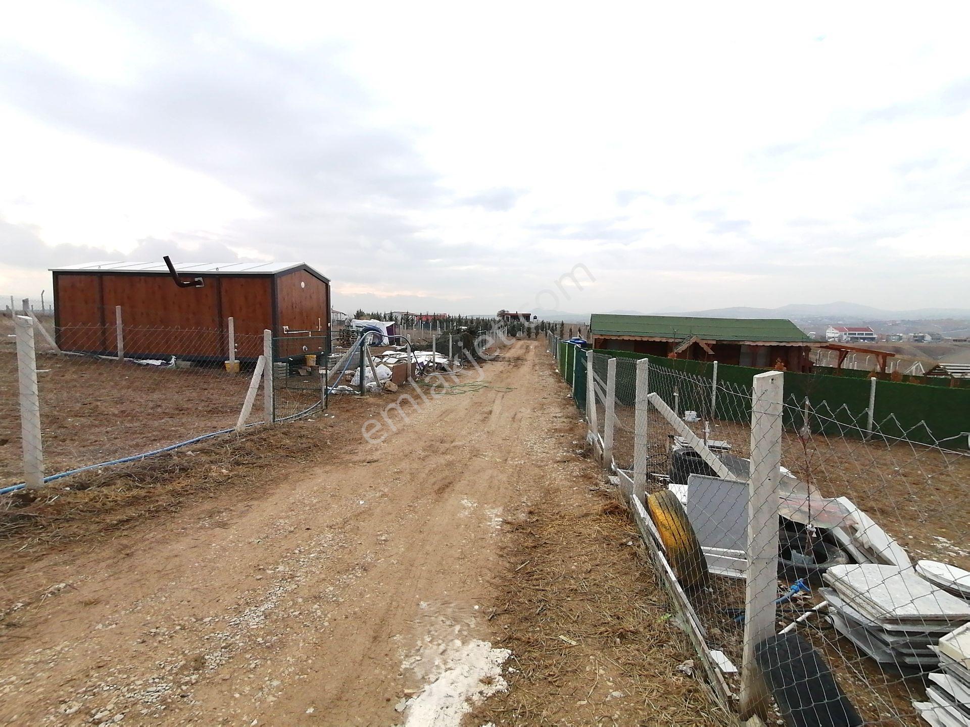 Kavak'lı Site Köye Yakın 200m2 Elektirik Su Aktif Telli Bahçek — fotoğraf 15