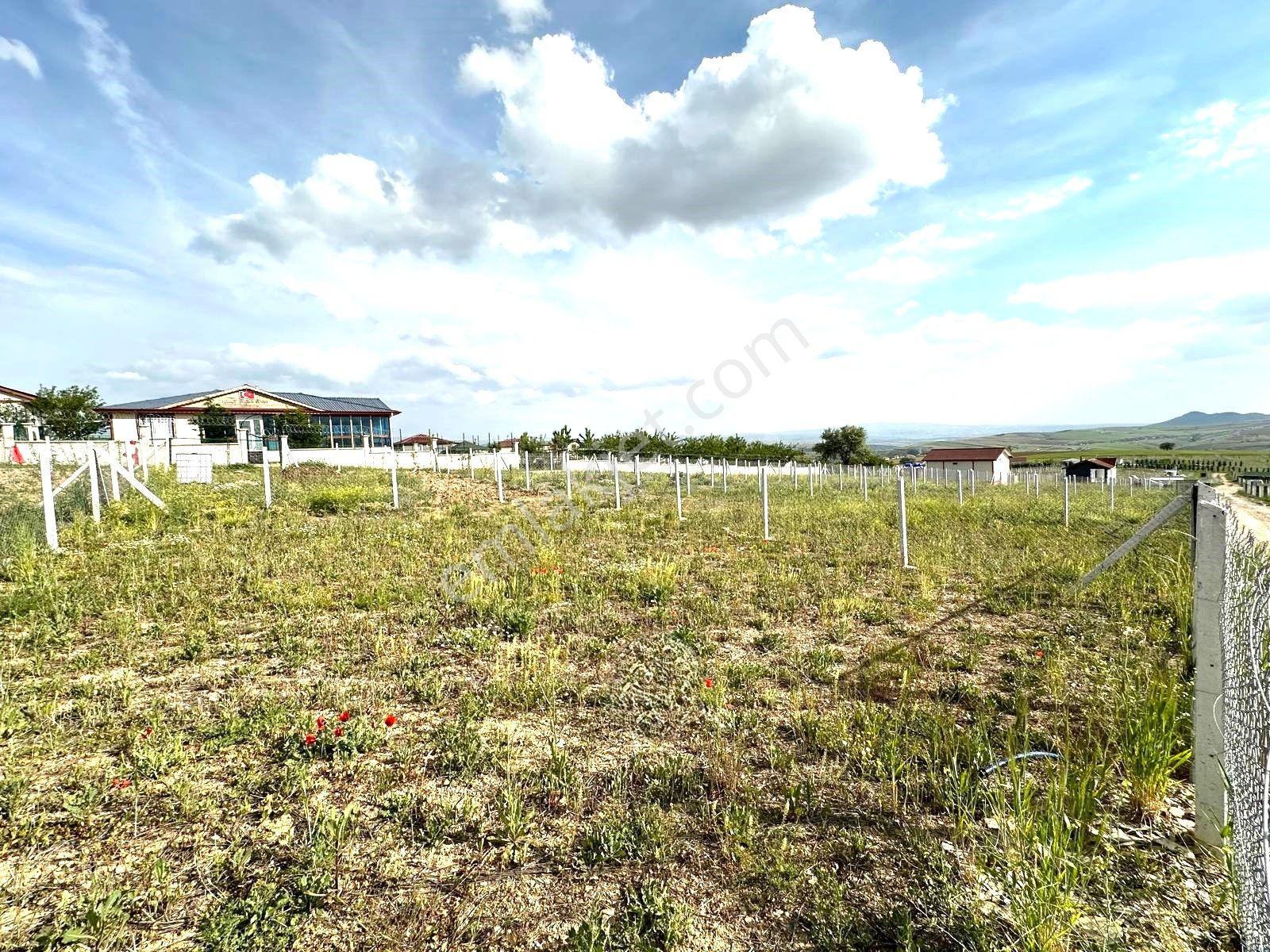 Kavak'lı Site Köye Yakın 200m2 Elektirik Su Aktif Telli Bahçek — fotoğraf 17