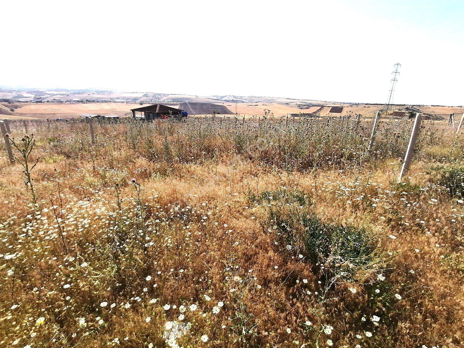 Kavak'lı Site Köye Yakın 200m2 Elektirik Su Aktif Telli Bahçek — fotoğraf 20