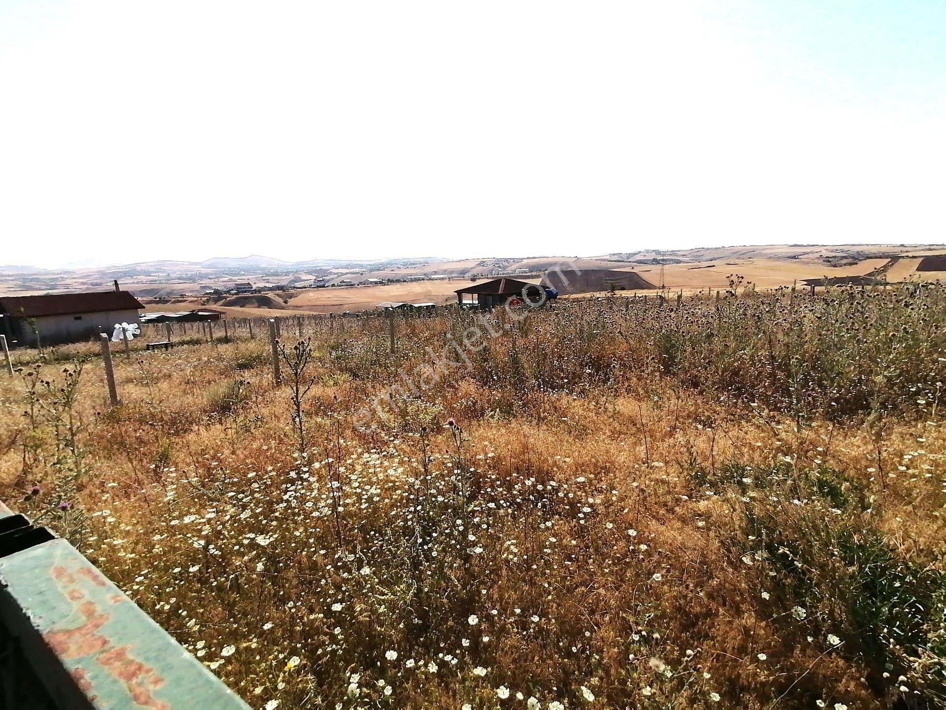 Kavak'lı Site Köye Yakın 200m2 Elektirik Su Aktif Telli Bahçek — fotoğraf 21