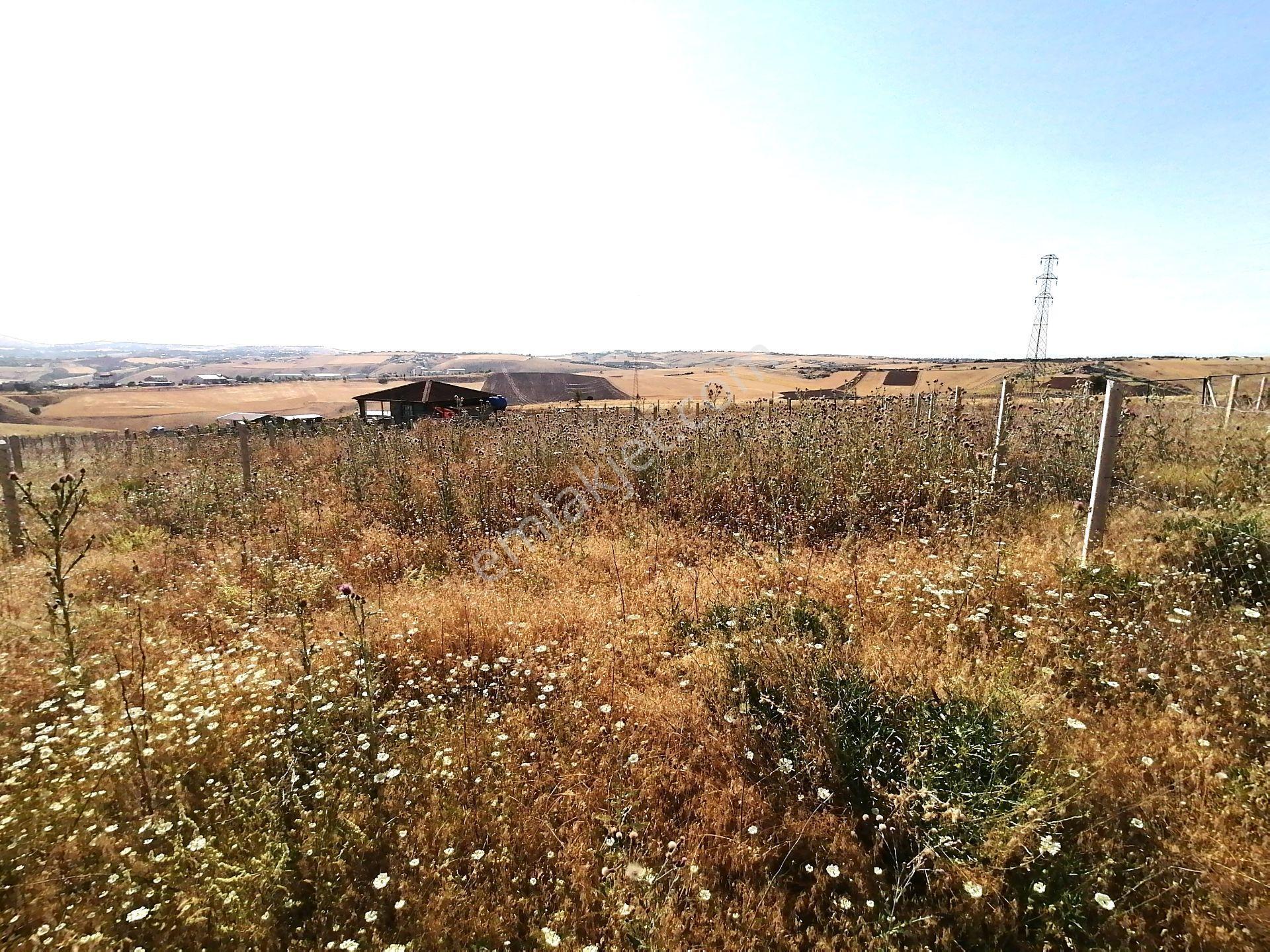 Kavak'lı Site Köye Yakın 200m2 Elektirik Su Aktif Telli Bahçek — fotoğraf 22