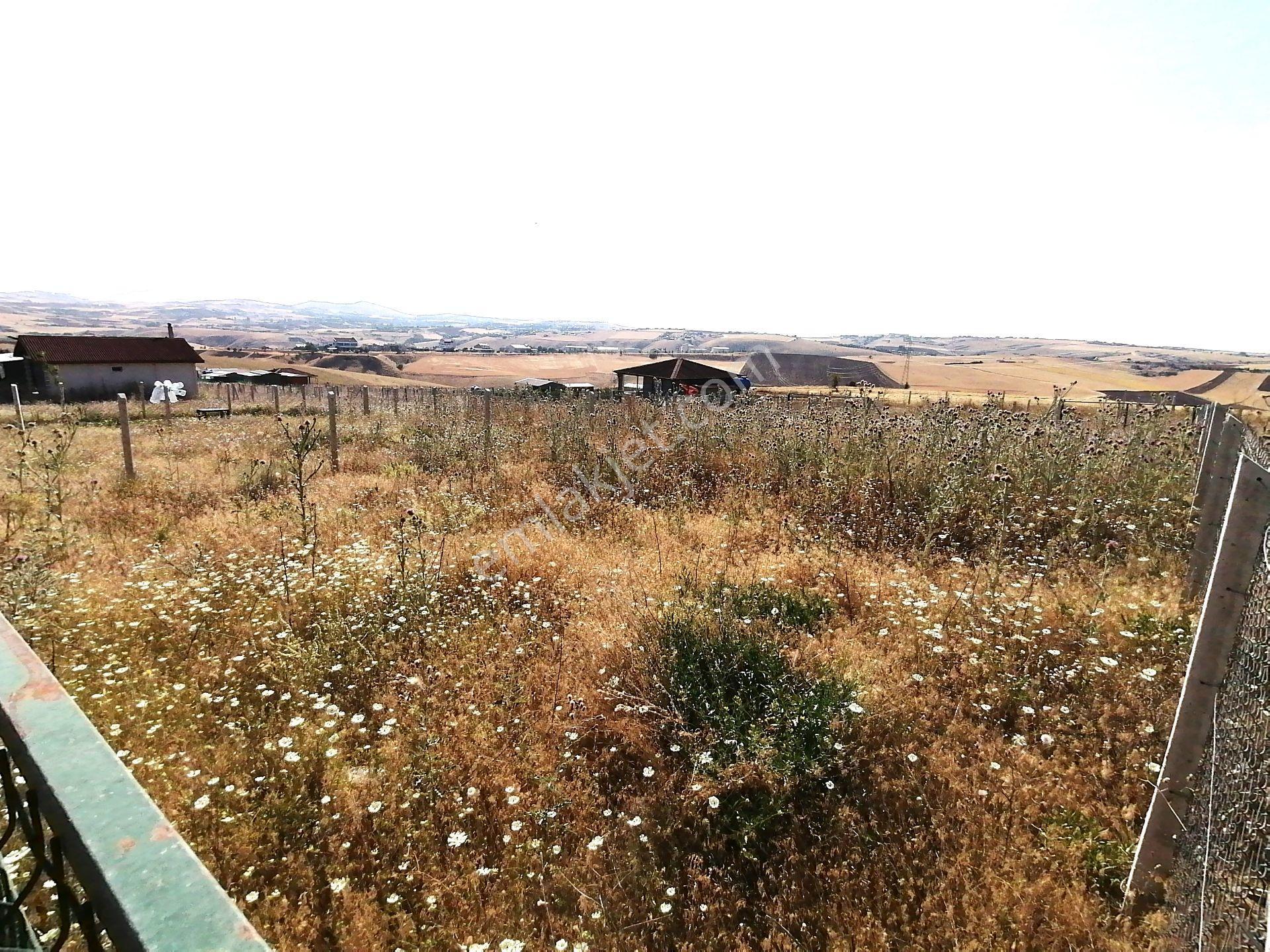 Kavak'lı Site Köye Yakın 200m2 Elektirik Su Aktif Telli Bahçek — fotoğraf 24
