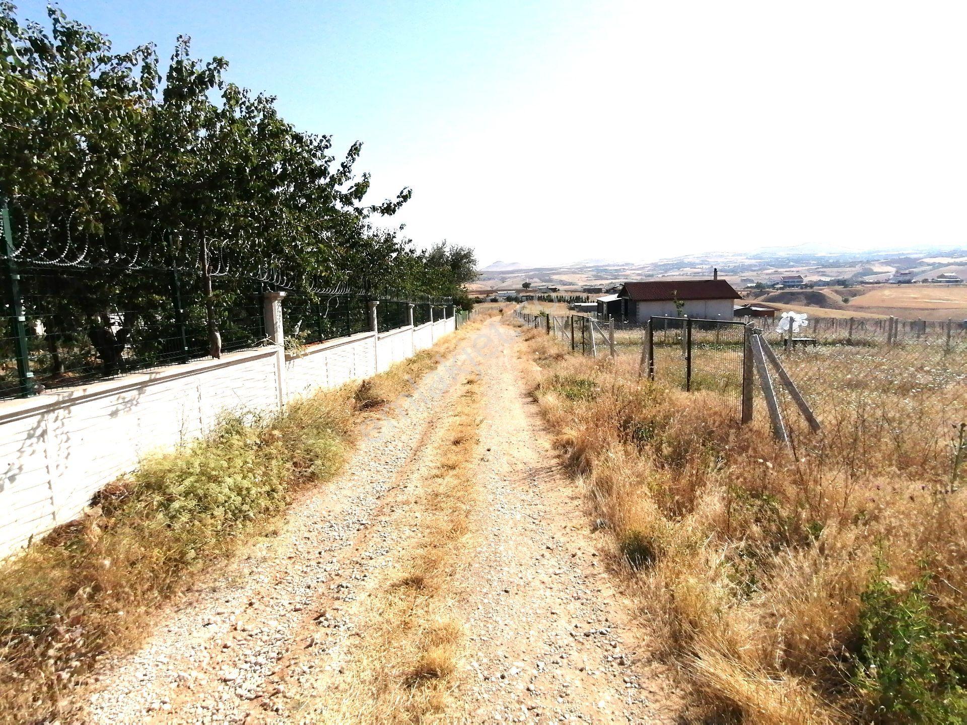Kavak'lı Site Köye Yakın 200m2 Elektirik Su Aktif Telli Bahçek — fotoğraf 27