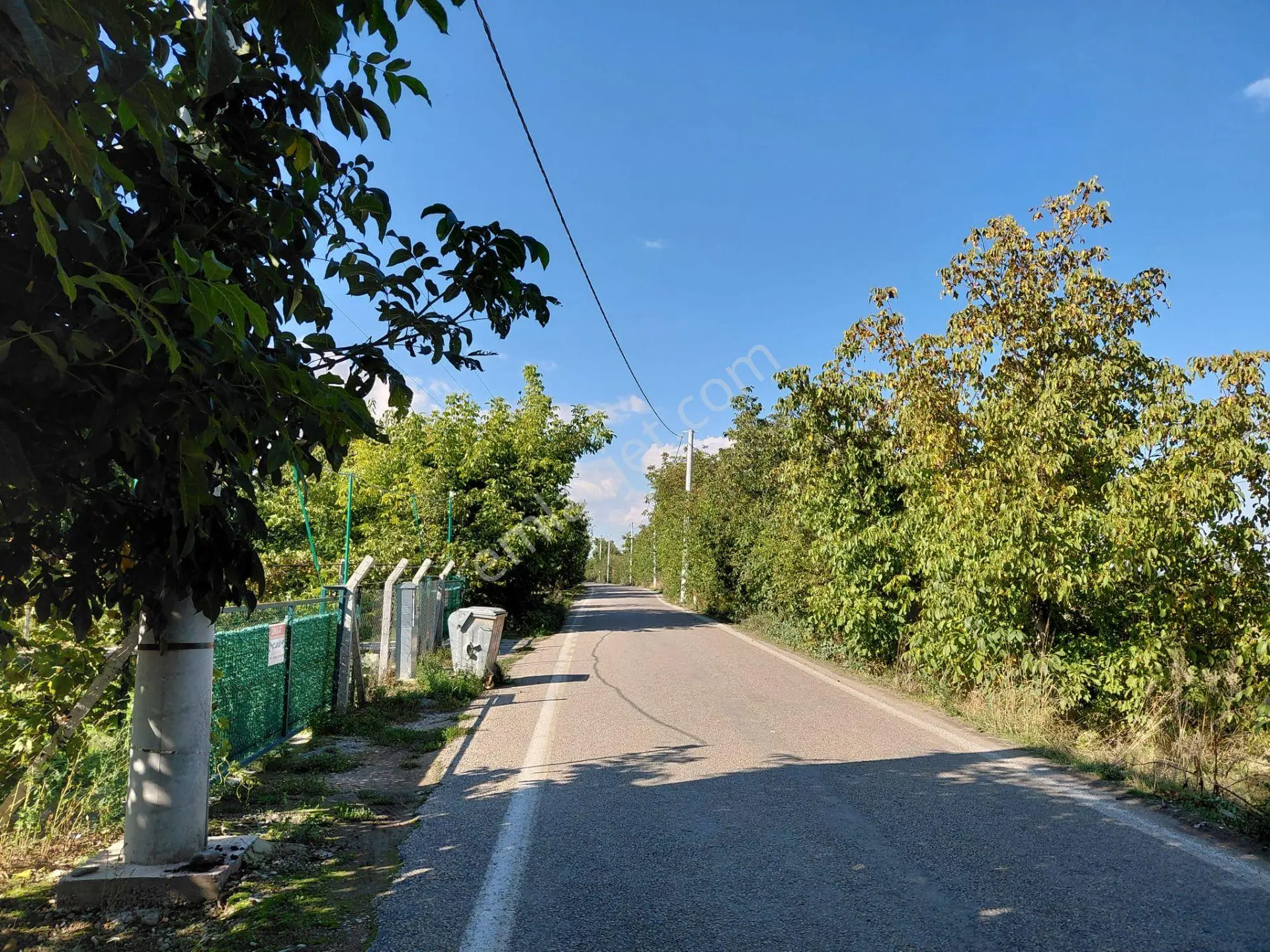 Bizizim Emlaktan Akşehir Atakent Mahallesi'Nde Satılık 1713 M² Verimli Bahçe