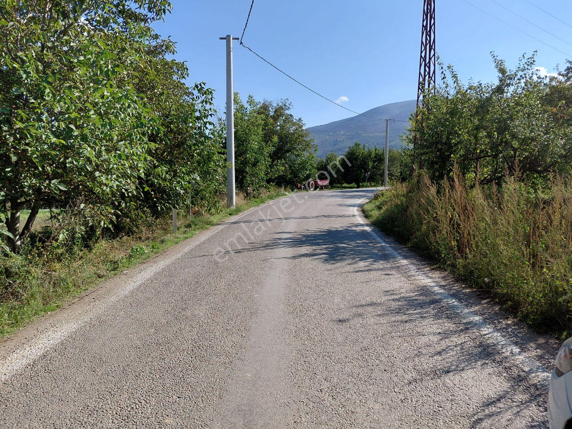 Bizizim Emlaktan Akşehir Atakent Mahallesi'nde Satılık 1713 M² Verimli Bahçe — fotoğraf 20