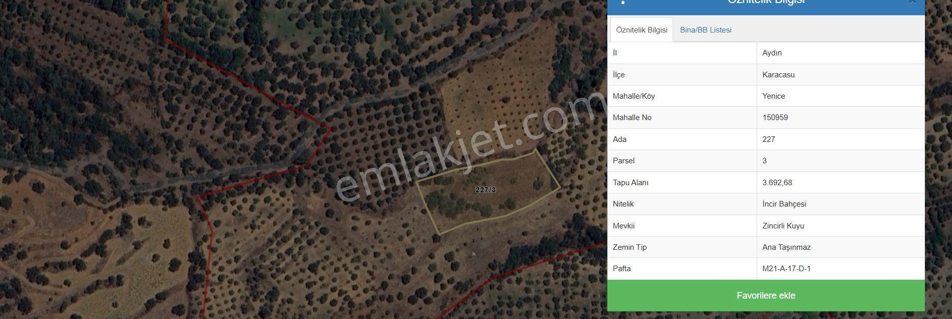 Aydın Karacasu Yenice'de Satılık 3692 M² İncir Bahçesi — fotoğraf 2