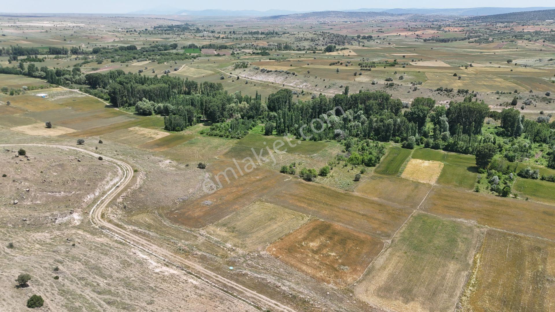 Konya Akören Tülce Mahallesi Satılık 1931 M² Tarla — fotoğraf 10