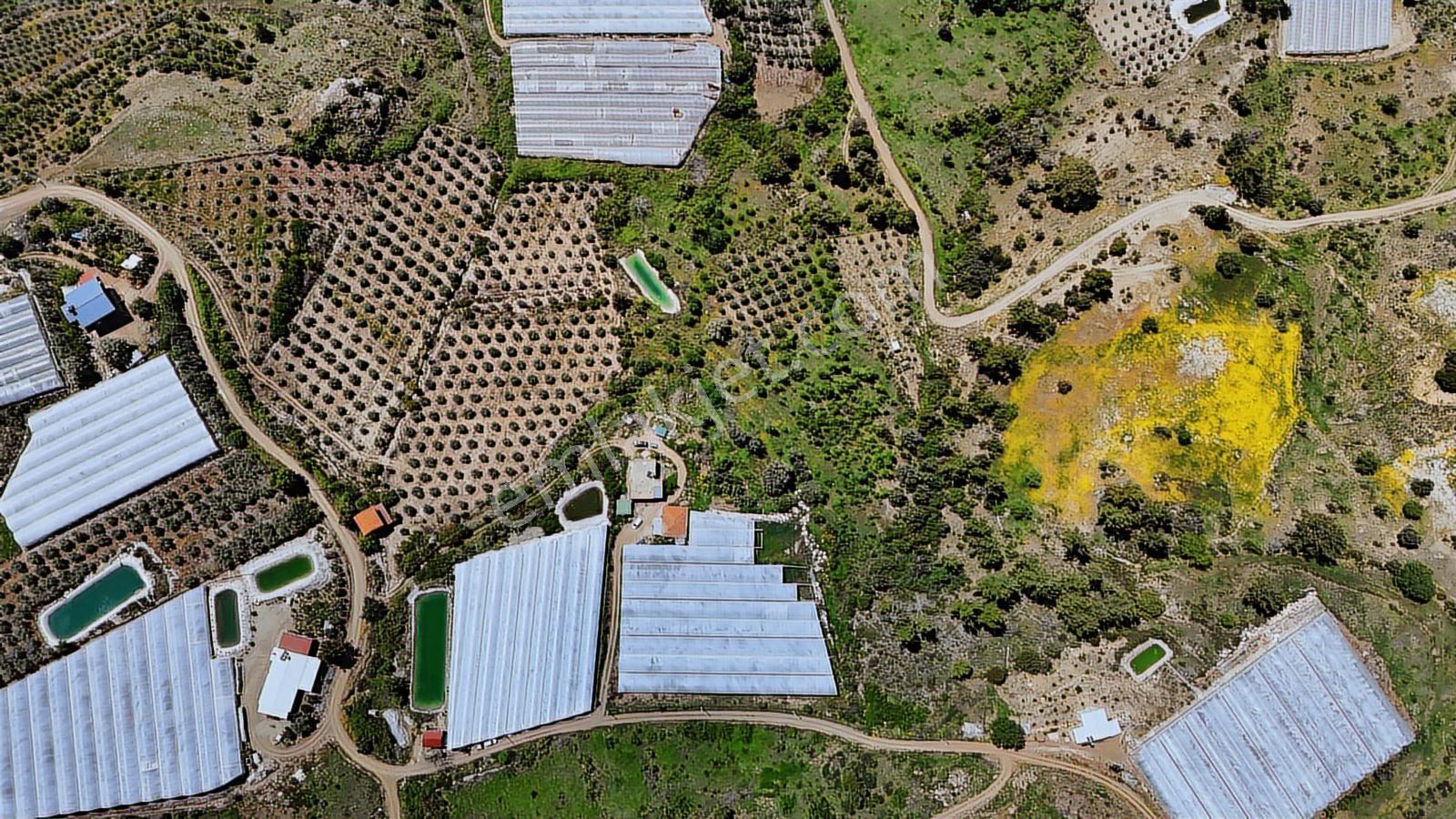 Aydoğan Emlak'tan Müstakil Tapu 18.534 M2 Tarla-sera-2 Adet Ev — fotoğraf 2