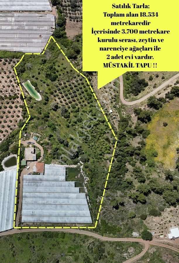 Aydoğan Emlak'tan Müstakil Tapu 18.534 M2 Tarla-sera-2 Adet Ev — fotoğraf 3