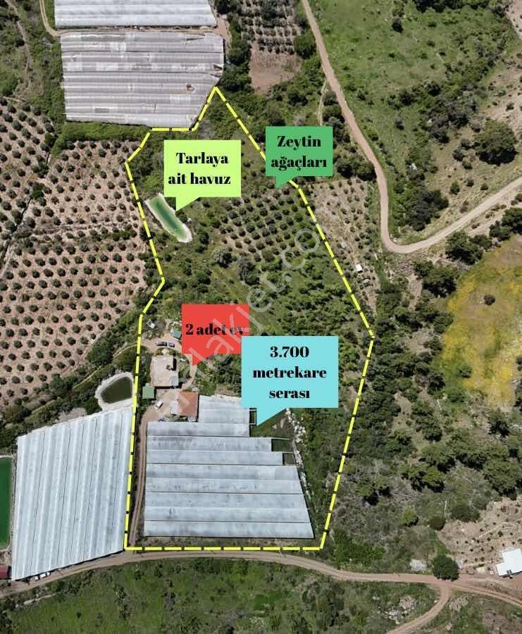 Aydoğan Emlak'tan Müstakil Tapu 18.534 M2 Tarla-sera-2 Adet Ev — fotoğraf 4